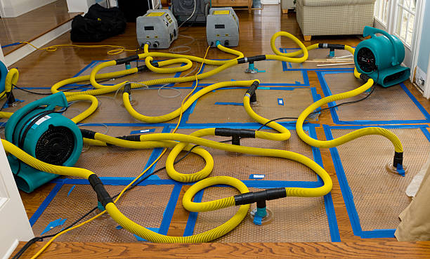Professional Flood Damage Restoration technician working in Neville, OH